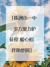 株洲市一中：多方聚力护征程 暖心相伴助梦圆
