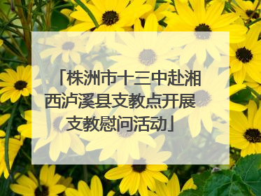 株洲市十三中赴湘西泸溪县支教点开展支教慰问活动
