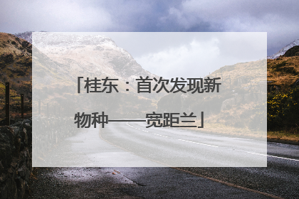 桂东：首次发现新物种——宽距兰