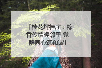 桂花坪桂庄：粽香传情暖邻里 党群同心筑和谐