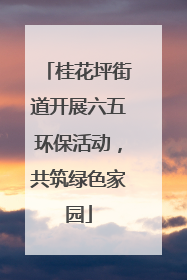 桂花坪街道开展六五环保活动，共筑绿色家园