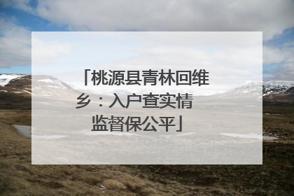 桃源县青林回维乡：入户查实情 监督保公平