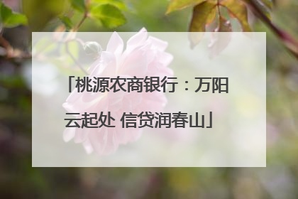 桃源农商银行：万阳云起处 信贷润春山
