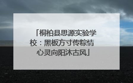 桐柏县思源实验学校：黑板方寸传粽情 心灵向阳沐古风
