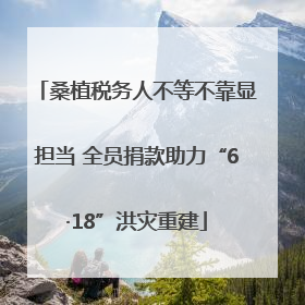 桑植税务人不等不靠显担当 全员捐款助力“6·18”洪灾重建