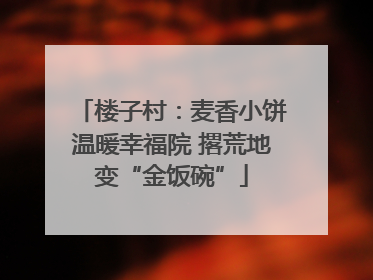 楼子村：麦香小饼温暖幸福院 撂荒地变“金饭碗”