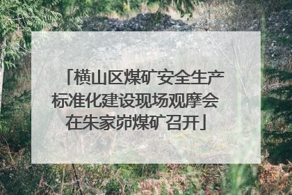 横山区煤矿安全生产标准化建设现场观摩会在朱家峁煤矿召开