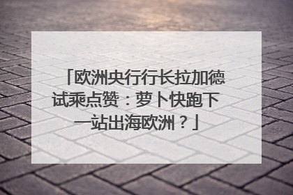 欧洲央行行长拉加德试乘点赞：萝卜快跑下一站出海欧洲？