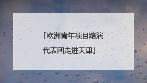 欧洲青年项目路演代表团走进天津