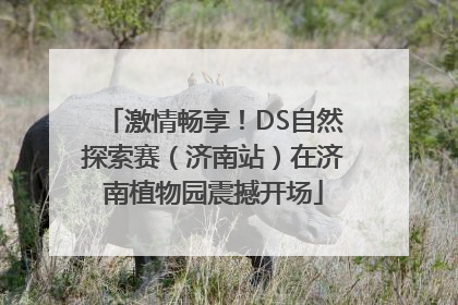 激情畅享！DS自然探索赛（济南站）在济南植物园震撼开场