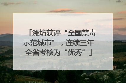 潍坊获评“全国禁毒示范城市”，连续三年全省考核为“优秀”