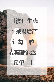 澳佳生态：减损增产 让每一粒麦穗都饱含希望！