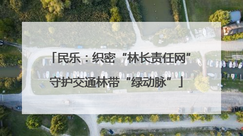 民乐：织密“林长责任网” 守护交通林带“绿动脉”