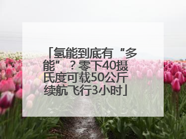 氢能到底有“多能”？零下40摄氏度可载50公斤续航飞行3小时