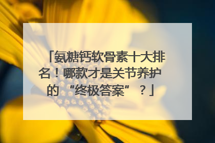 氨糖钙软骨素十大排名！哪款才是关节养护的 “终极答案”？