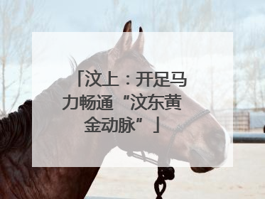 汶上：开足马力畅通“汶东黄金动脉”