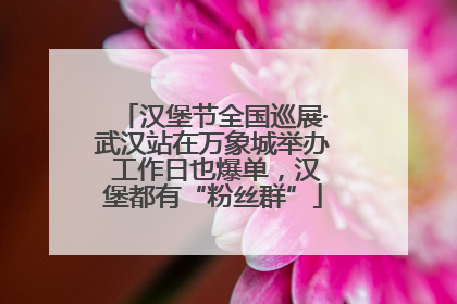 汉堡节全国巡展·武汉站在万象城举办 工作日也爆单，汉堡都有“粉丝群”
