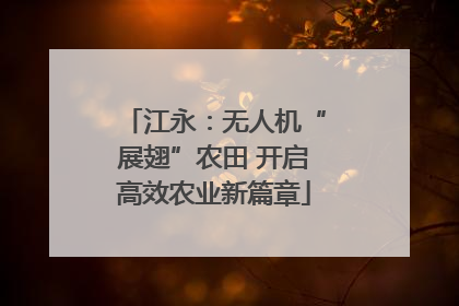 江永：无人机“展翅”农田 开启高效农业新篇章
