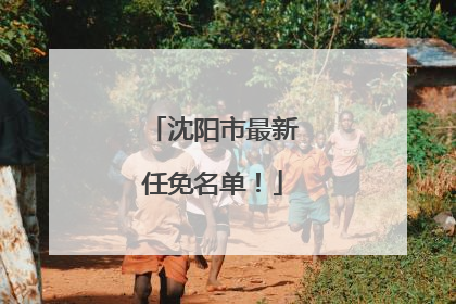 沈阳市最新任免名单！