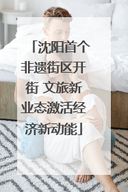 沈阳首个非遗街区开街 文旅新业态激活经济新动能