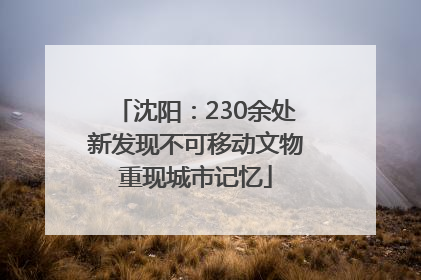 沈阳：230余处新发现不可移动文物重现城市记忆