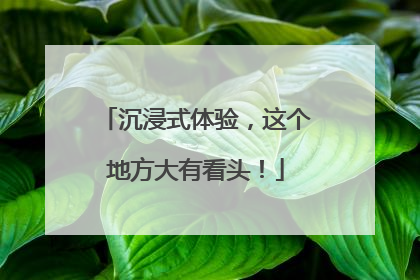 沉浸式体验，这个地方大有看头！