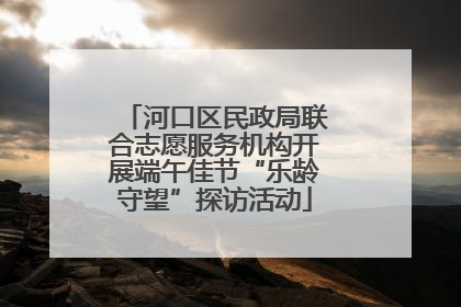 河口区民政局联合志愿服务机构开展端午佳节“乐龄守望”探访活动