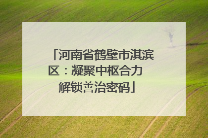 河南省鹤壁市淇滨区：凝聚中枢合力 解锁善治密码