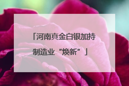 河南真金白银加持制造业“焕新”