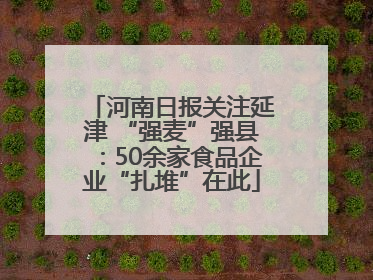河南日报关注延津 “强麦”强县：50余家食品企业“扎堆”在此
