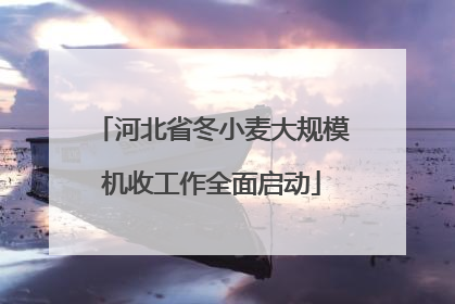 河北省冬小麦大规模机收工作全面启动