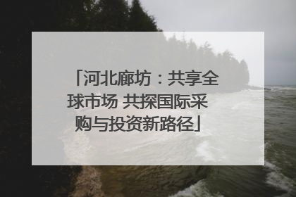 河北廊坊：共享全球市场 共探国际采购与投资新路径