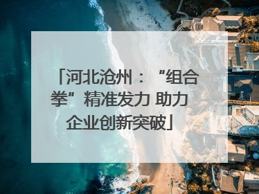 河北沧州：“组合拳”精准发力 助力企业创新突破