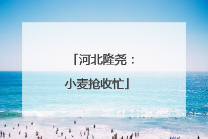 河北隆尧：小麦抢收忙