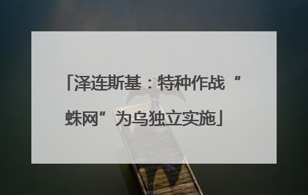 泽连斯基：特种作战“蛛网”为乌独立实施