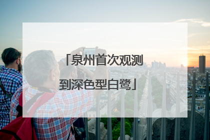 泉州首次观测到深色型白鹭