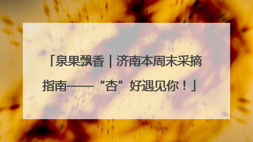 泉果飘香｜济南本周末采摘指南——“杏”好遇见你！