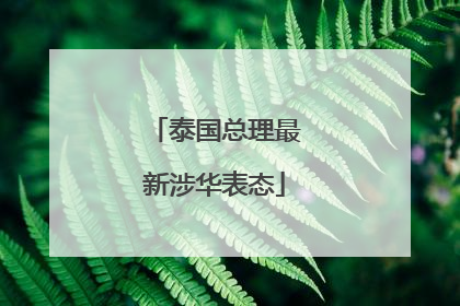 泰国总理最新涉华表态