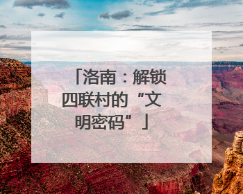 洛南：解锁四联村的“文明密码”