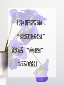洛阳孟津：“党建联盟”激活“商圈”新动能