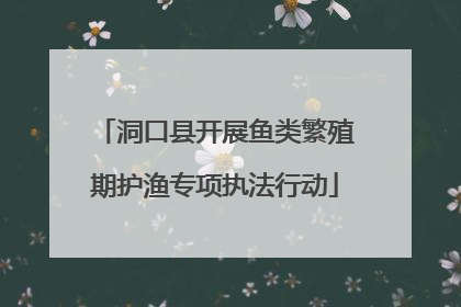 洞口县开展鱼类繁殖期护渔专项执法行动