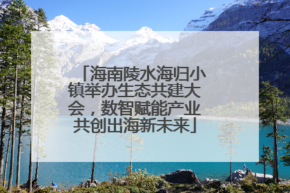 海南陵水海归小镇举办生态共建大会，数智赋能产业共创出海新未来