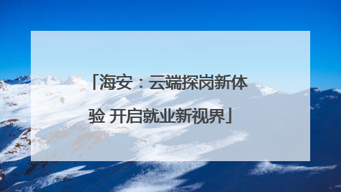 海安：云端探岗新体验 开启就业新视界