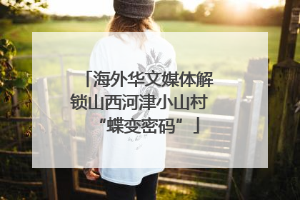 海外华文媒体解锁山西河津小山村“蝶变密码”