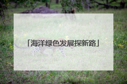 海洋绿色发展探新路