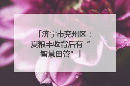 济宁市兖州区：夏粮丰收背后有“智慧田管”