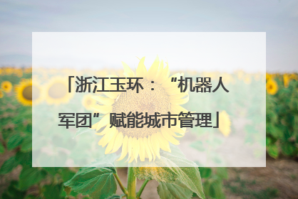 浙江玉环：“机器人军团”赋能城市管理