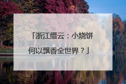浙江缙云：小烧饼何以飘香全世界？