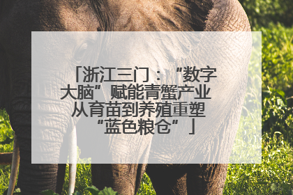 浙江三门：“数字大脑”赋能青蟹产业 从育苗到养殖重塑“蓝色粮仓”