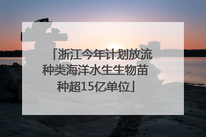 浙江今年计划放流种类海洋水生生物苗种超15亿单位